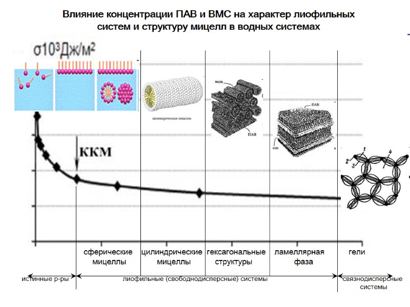 Влияние концентрации ПАВ и ВМС на характер лиофильных систем и структуру мицелл в водных